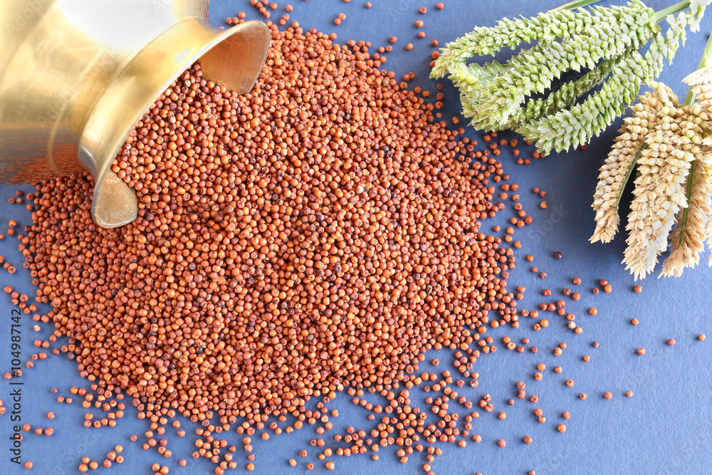 Finger Millet (Ragi): A Nutrient-Packed Ancient Grain and Its Health Benefits