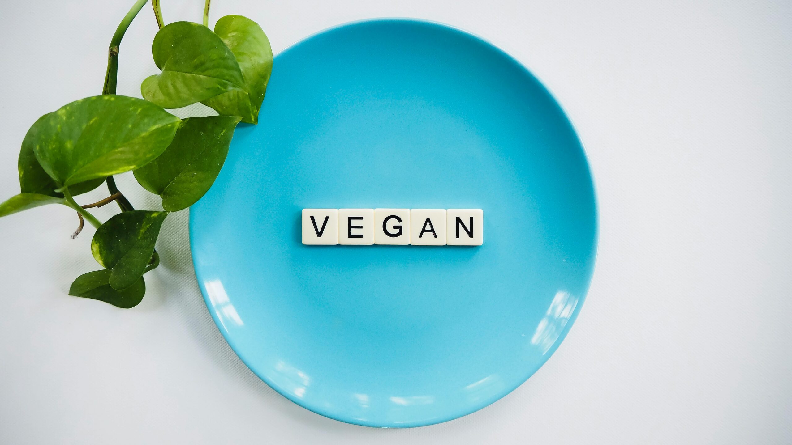 Exploring the Vegan Lifestyle: A Brief Overview
