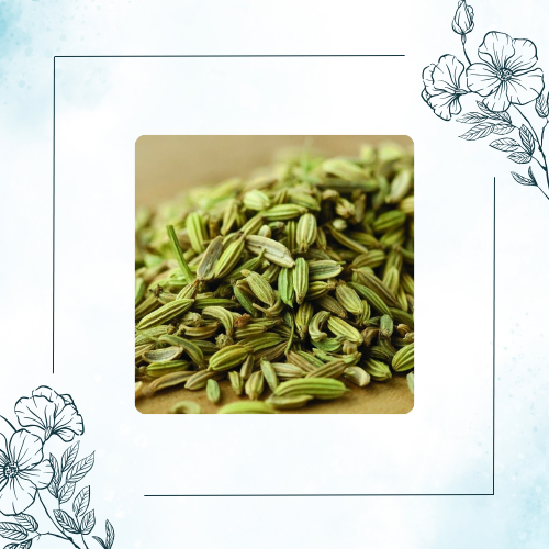 10 Proven Health Benefits of Fennel Seeds You Must Know