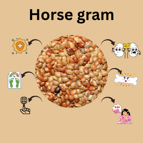 horse gram benefits